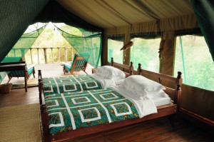 Safari Lodge Tandala